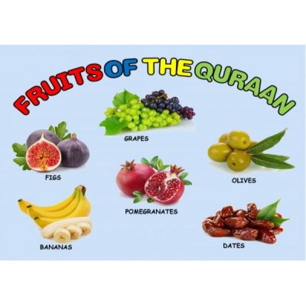 Fruits Of The Quraan 12pc Puzzle