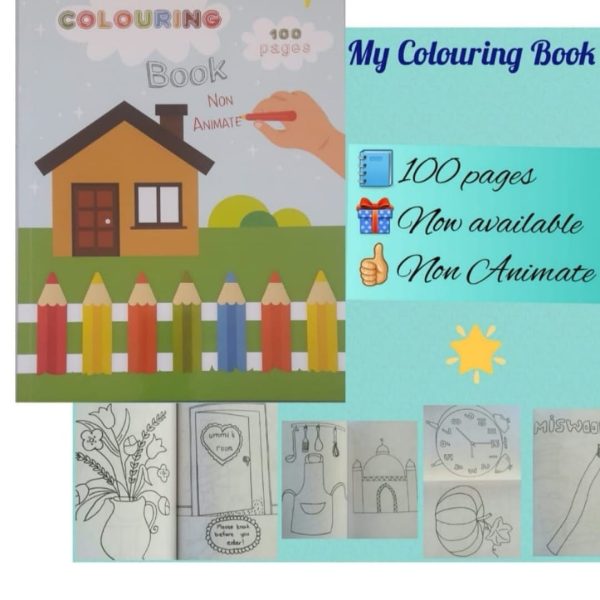 Non Animate Colouring Book (100 page)