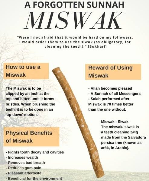 Alternative view of Al Khair Miswaak with Holder