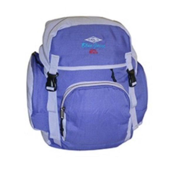 Blue Juice 3 Pocket Backpack