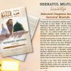 Seeratul Mujtaba (SAW)