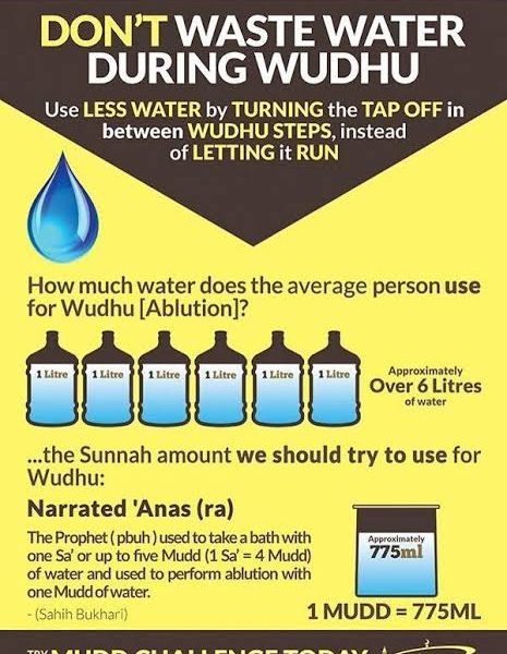 Alternative view of Prophetic Gems Al-Mudd