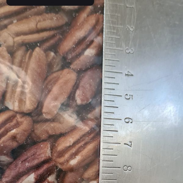 Alternative view of Fresh Pecan Nuts (Packed in 1kg)