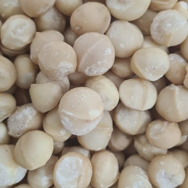 Fresh Macadamia Nuts 