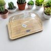 Bamboo Board with Acrylic Dome Rectangular