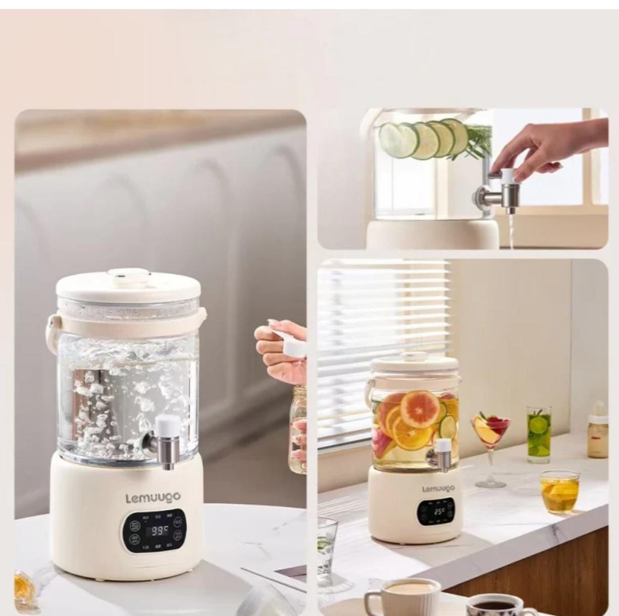 Electric Wellness Kettle Multi-Function Tea Brewing, Soup Making, Enzyme Fruit Tea Pot 3L