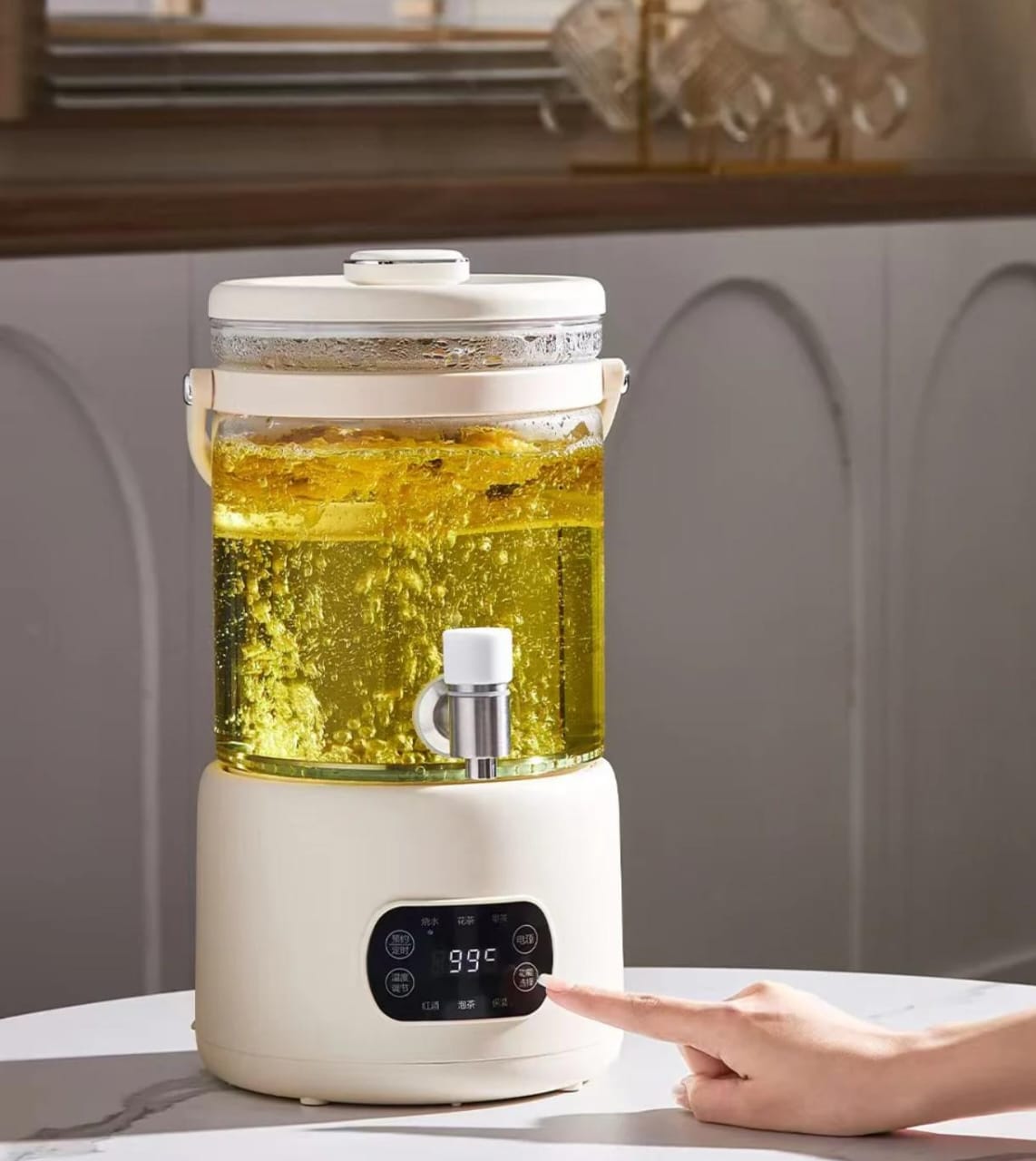 Electric Wellness Kettle Multi-Function Tea Brewing, Soup Making, Enzyme Fruit Tea Pot 3L - Image 3
