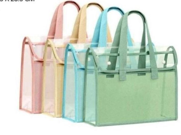 Transparent Mesh Document Bag