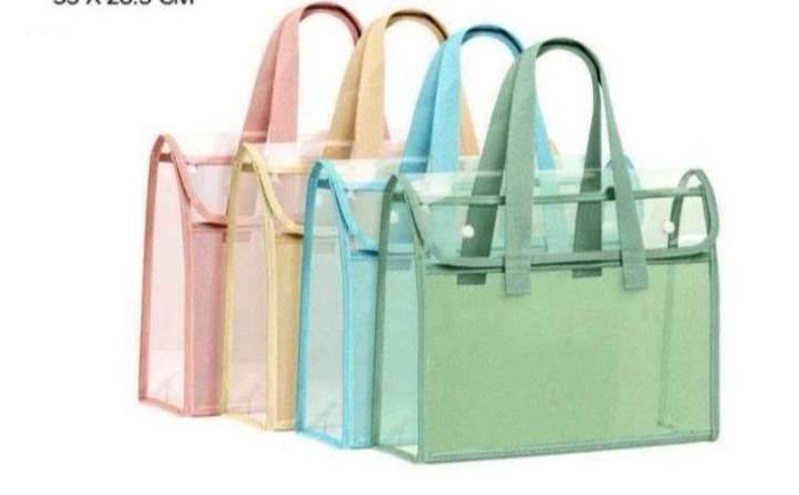 Transparent Mesh Document Bag