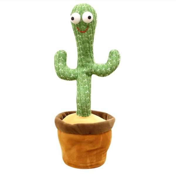 Alternative view of Dancing and talking cactus